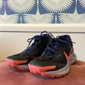 Nike Pegasus Trail 3 GoreTex Trail Running Shoes